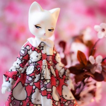 Как долго я ее ждала 🐱🐱🐱 Mariko Cat