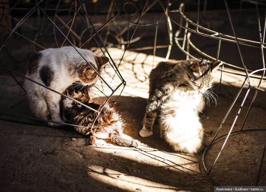 Наскоком в Марокко - часть 1 - Марракеш
