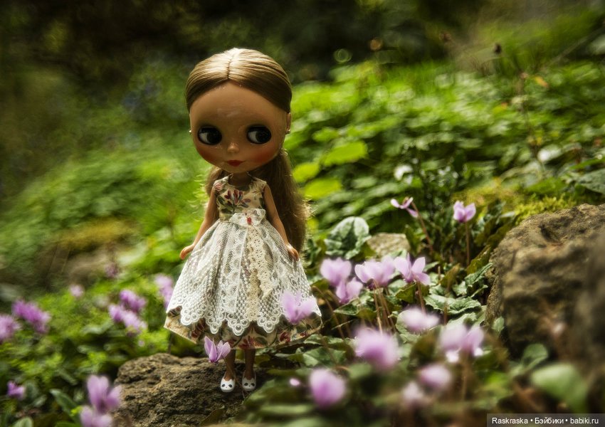 Цикламены — Оригинальные куклы Blythe (Блайз): Takara (фото 5)