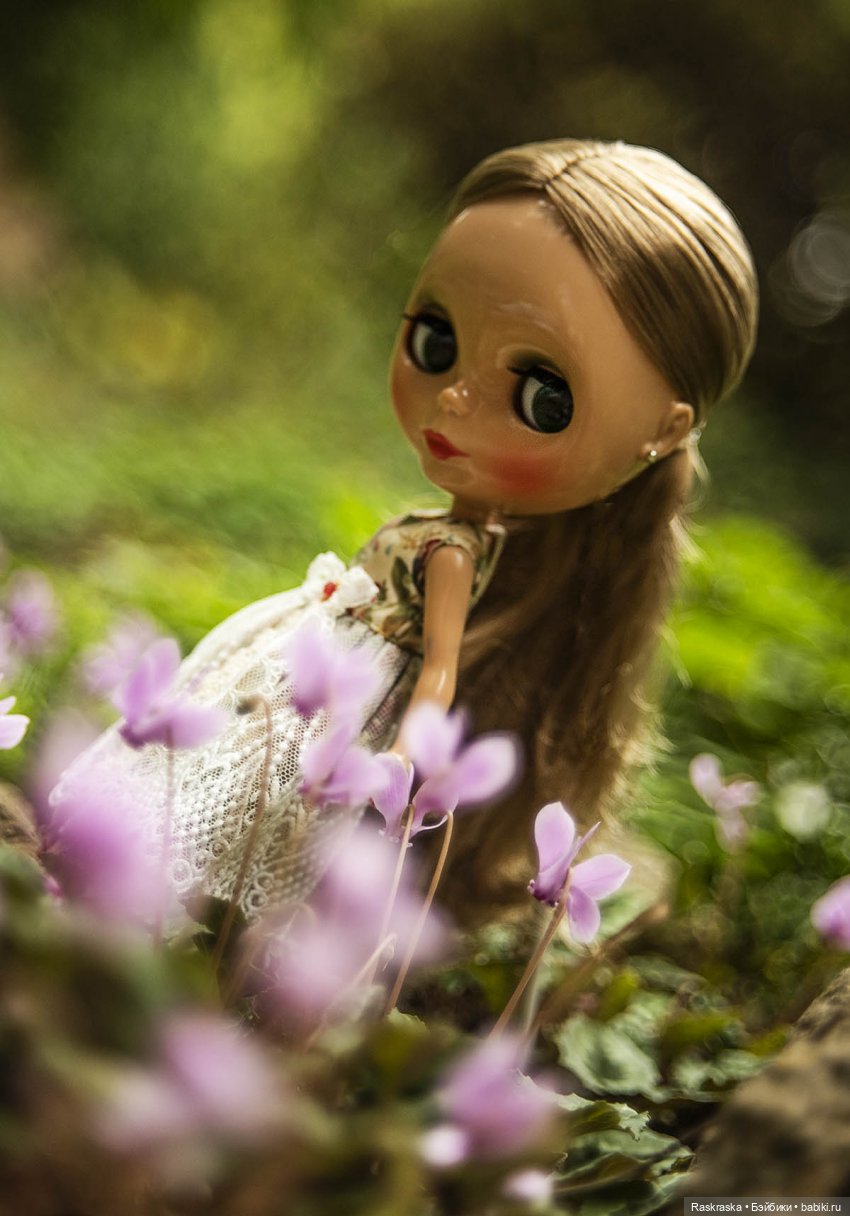 Цикламены — Оригинальные куклы Blythe (Блайз): Takara (фото 2)