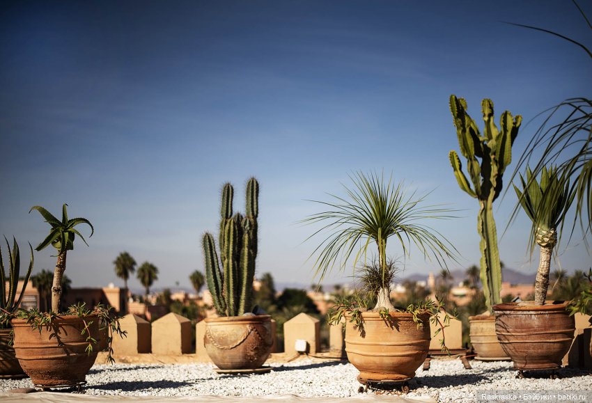 Наскоком в Марокко - часть 2 - гостиница