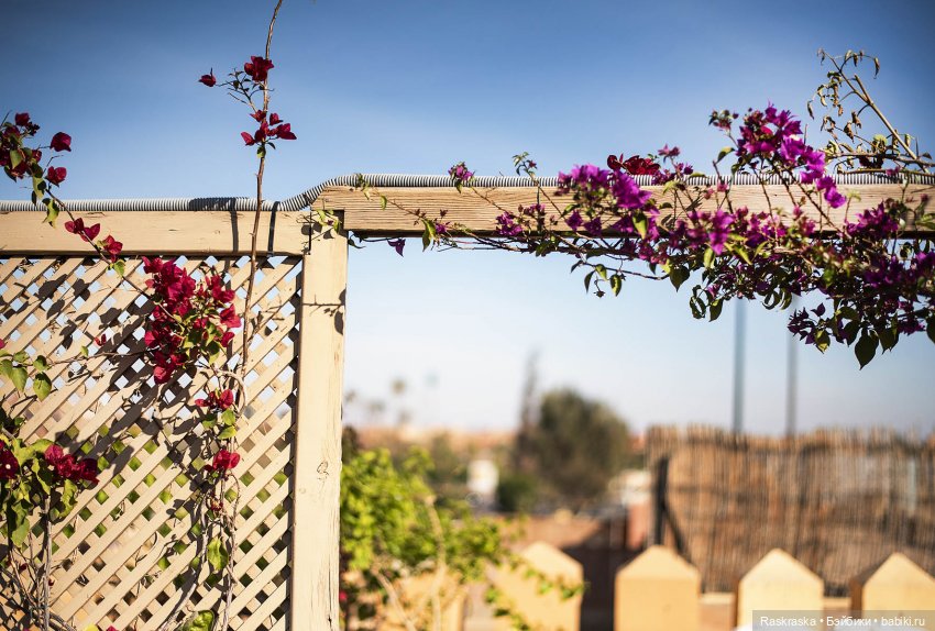 Наскоком в Марокко - часть 2 - гостиница