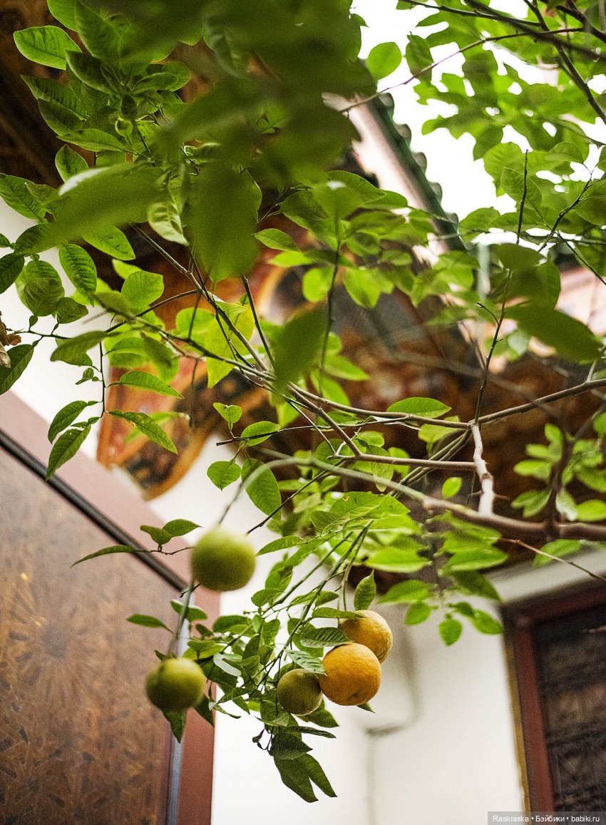 Наскоком в Марокко - часть 2 - гостиница