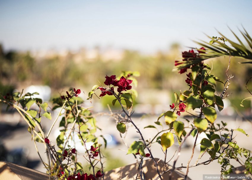 Наскоком в Марокко - часть 2 - гостиница