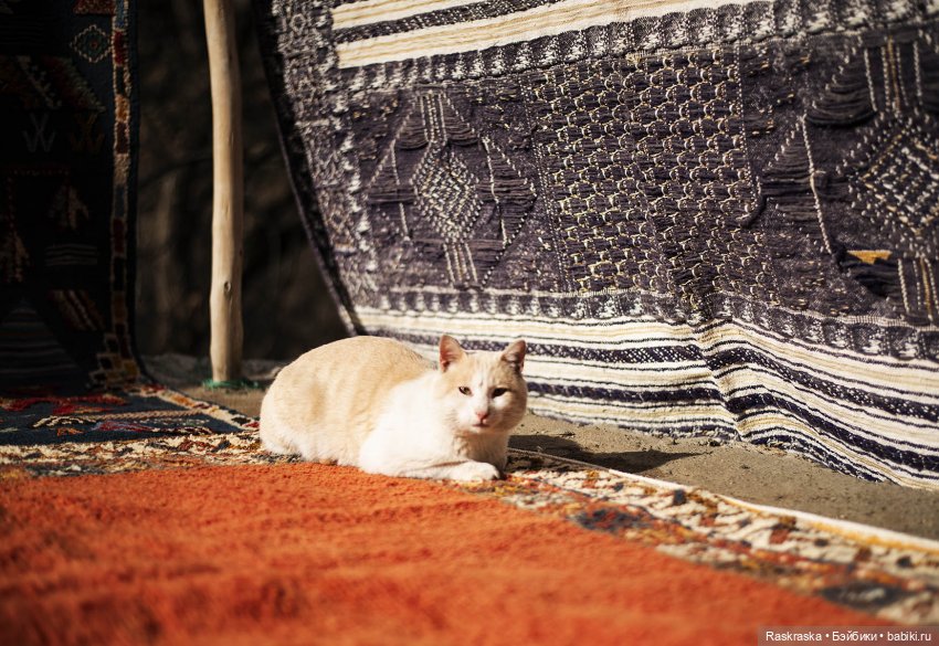 Наскоком в Марокко - часть 3 - Горы Атлас