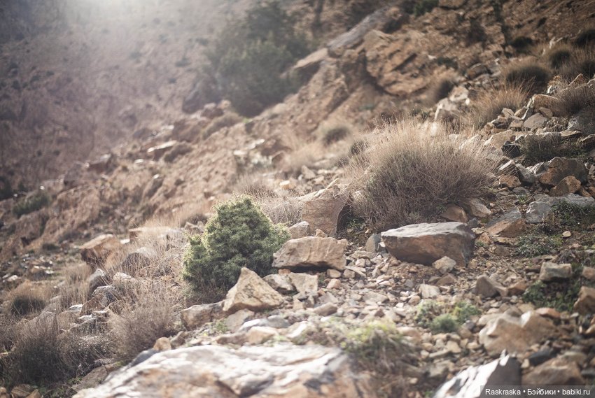 Наскоком в Марокко - часть 3 - Горы Атлас