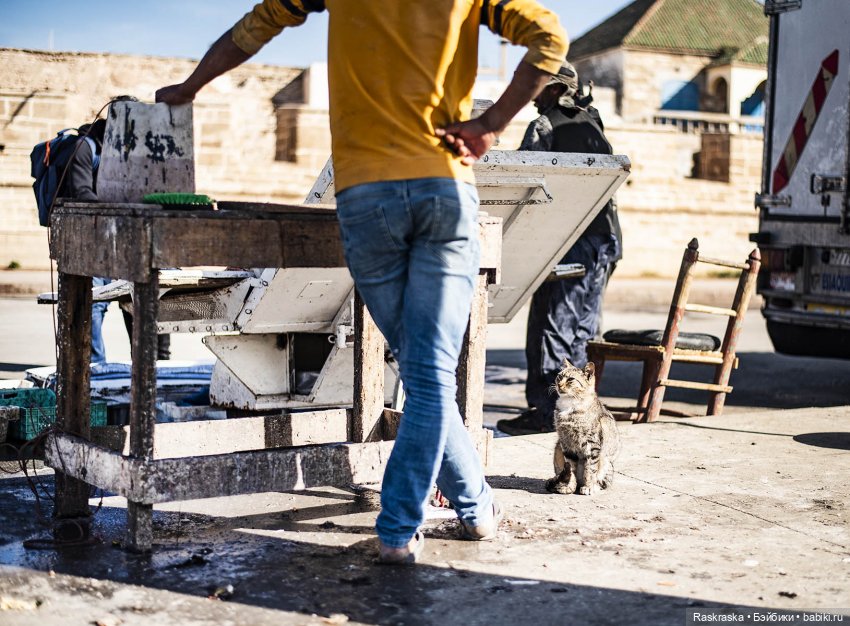 Наскоком в Марокко - часть 4 - Эссуэйра