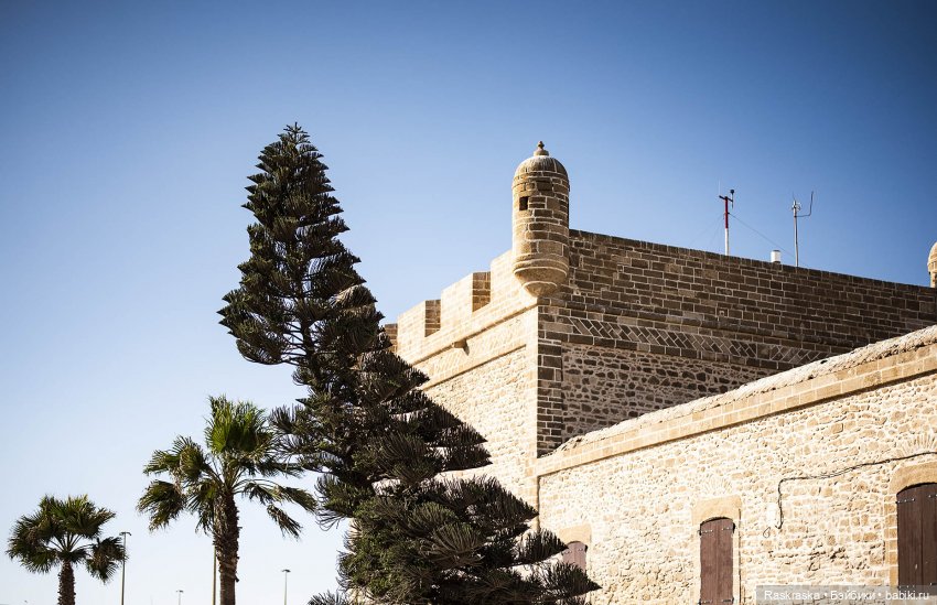 Наскоком в Марокко - часть 4 - Эссуэйра (фото 8)