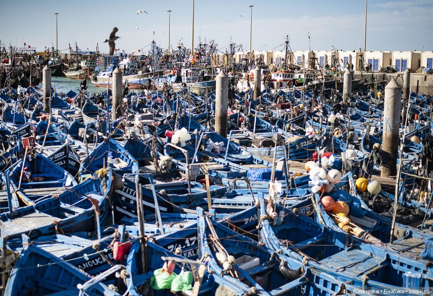 Наскоком в Марокко - часть 4 - Эссуэйра