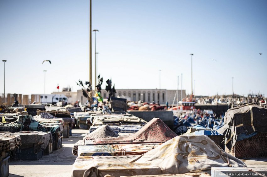 Наскоком в Марокко - часть 4 - Эссуэйра (фото 10)