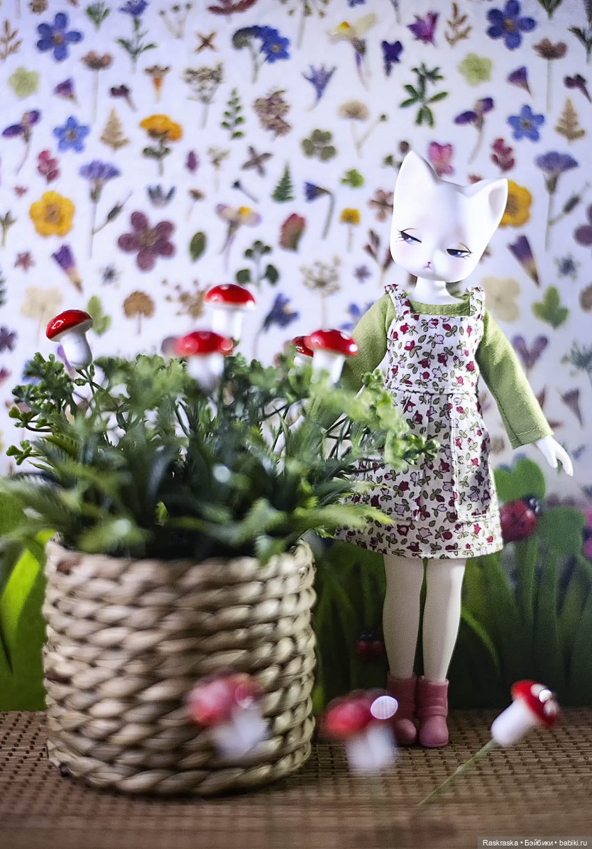 Сон Марико о лете которое бывает так часто