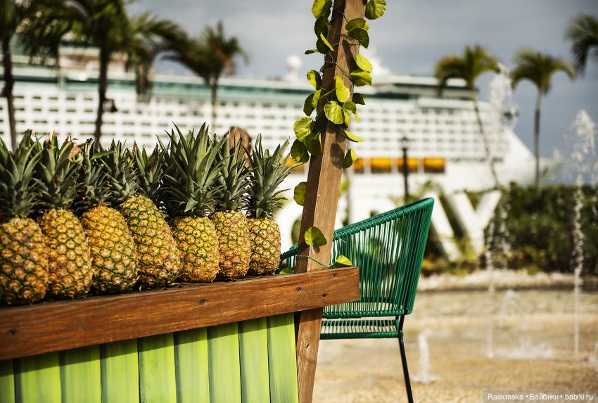 Продолжаю о путешествии на корабле - часть 2 - Доминиканская республика (фото 8)