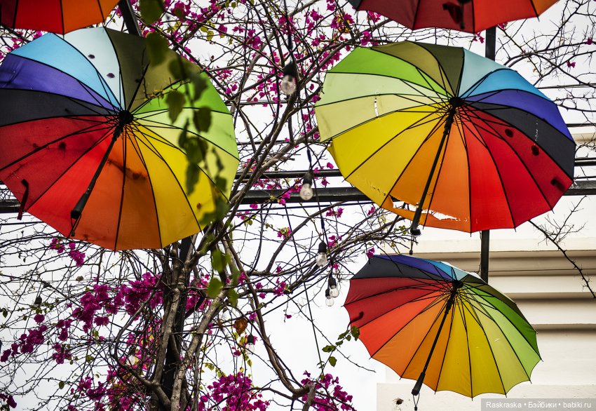 Продолжаю о путешествии на корабле - часть 2 - Доминиканская республика