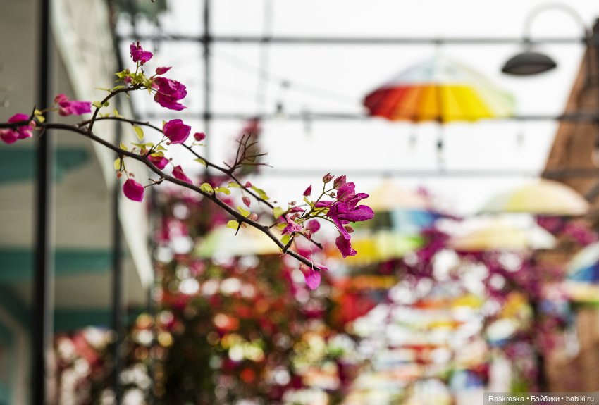 Продолжаю о путешествии на корабле - часть 2 - Доминиканская республика