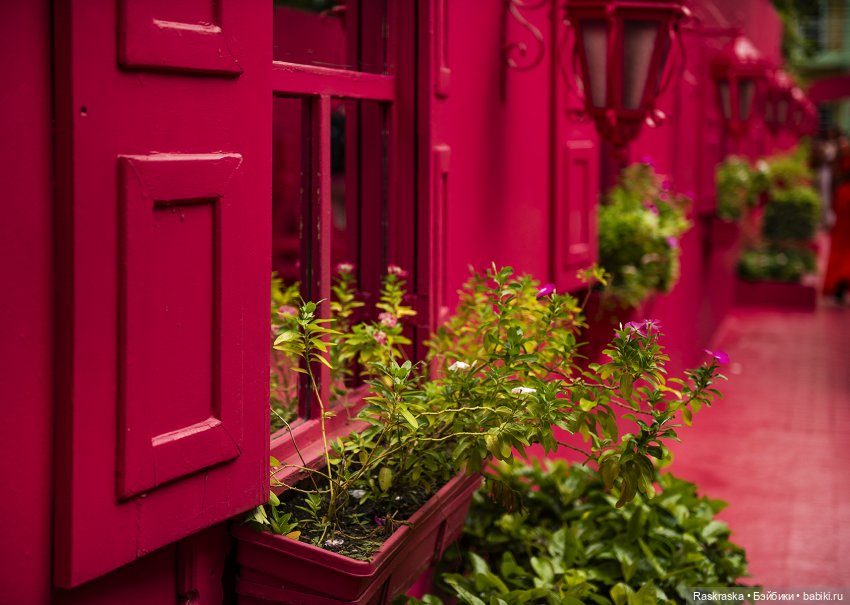 Продолжаю о путешествии на корабле - часть 2 - Доминиканская республика