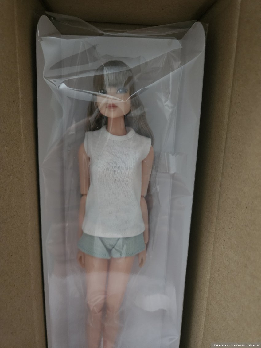 Поселилась Момоко — Куклы Momoko и Ruruko (Petworks