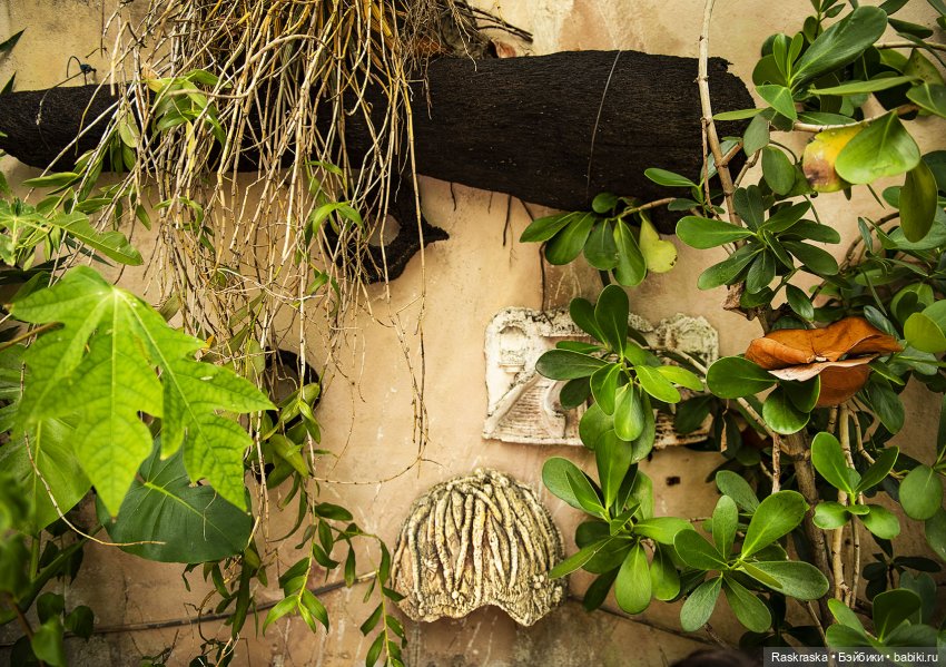 Продолжаю о путешествии на корабле - часть 3 - Пуэрто Рико