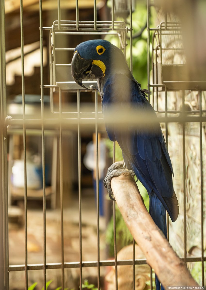 Продолжаю о путешествии на корабле - часть 3 - Пуэрто Рико