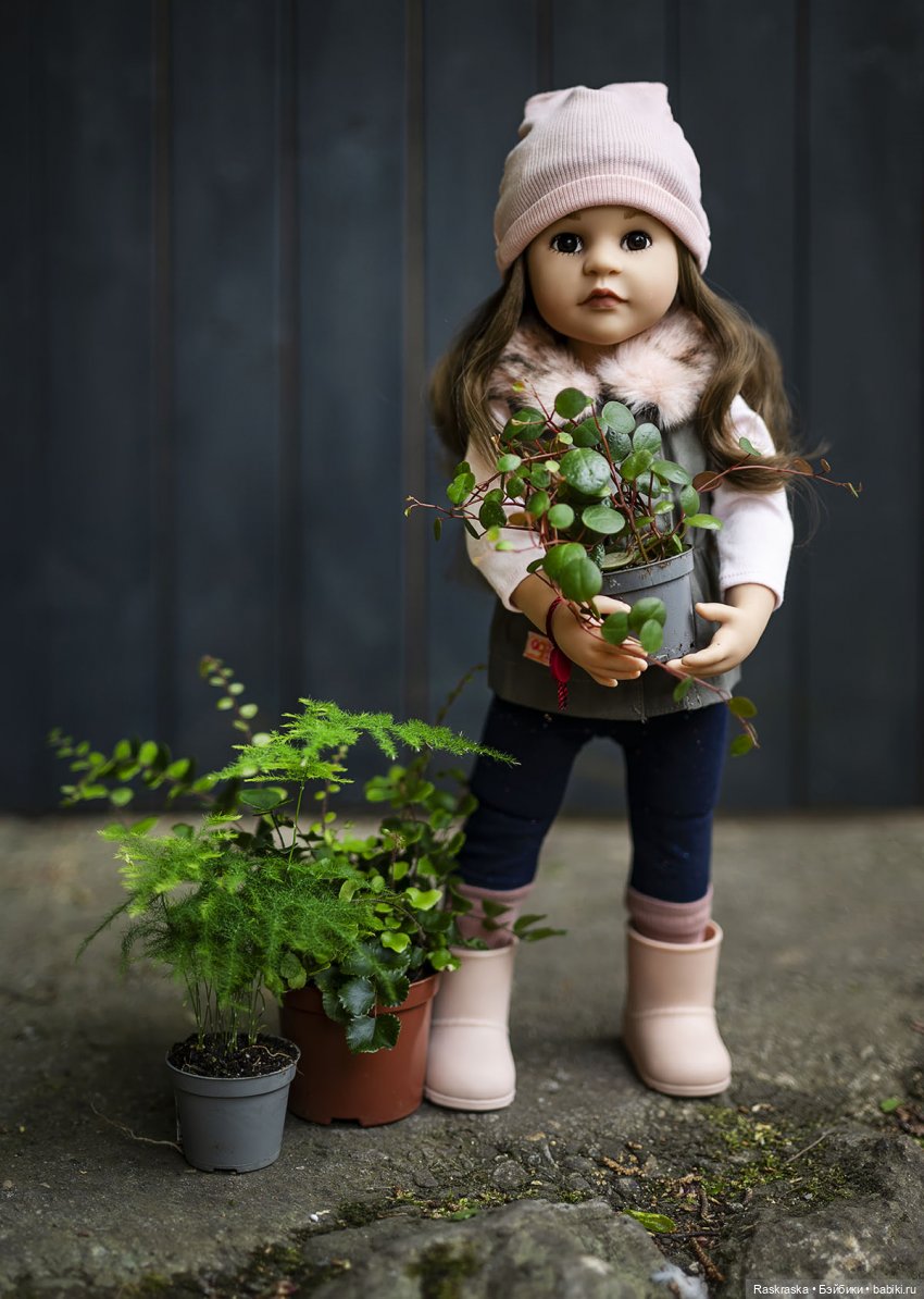 Сезон садовых цветов открыт💐