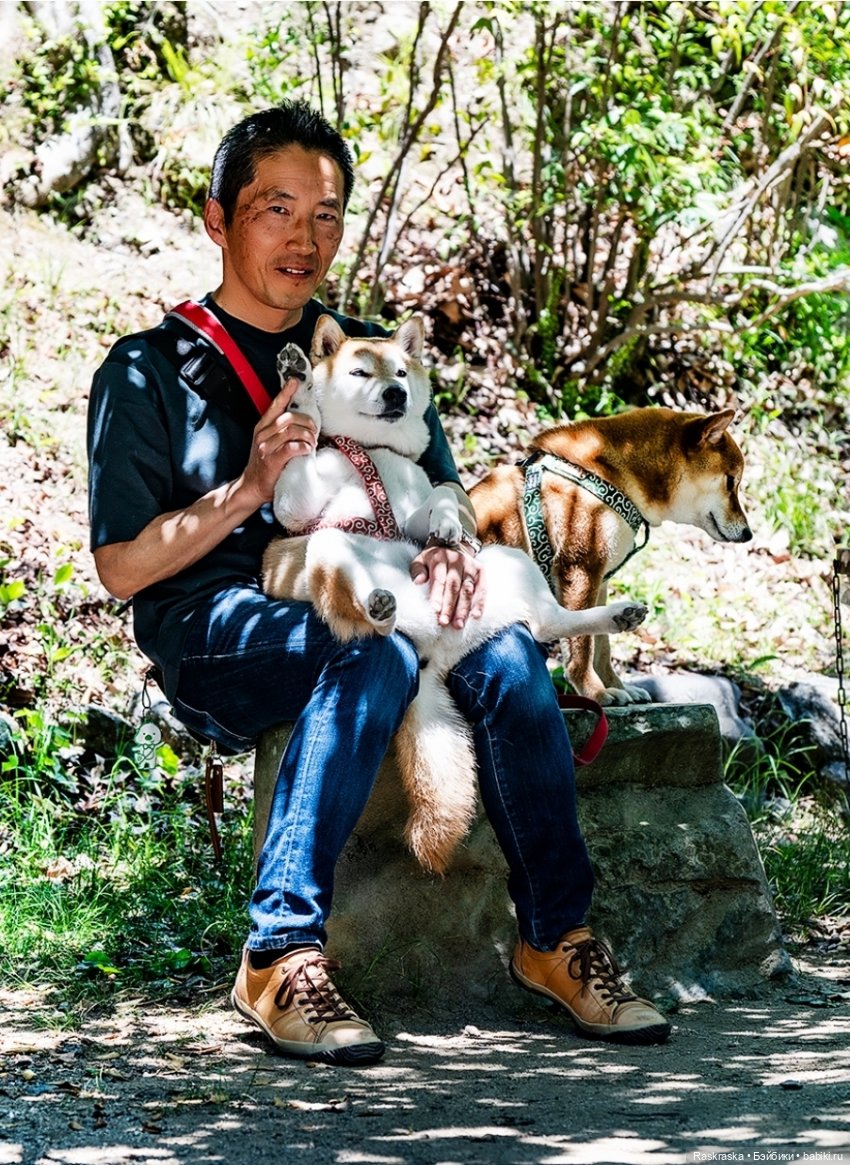Рассказ о поездке в Японию - отрывок 1 - с чего-то ж надо начать:) (фото 8)