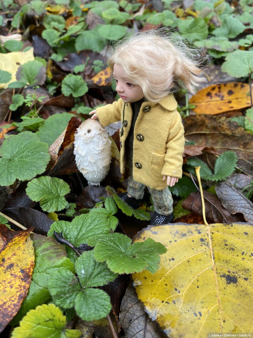 Осенняя прогулка Евы( Авторские куклы Светланы Соколовой)