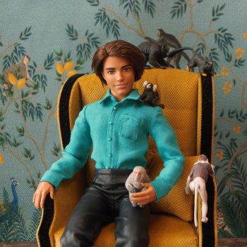 Кацуя в новой рубашке и много-много диких обезьян