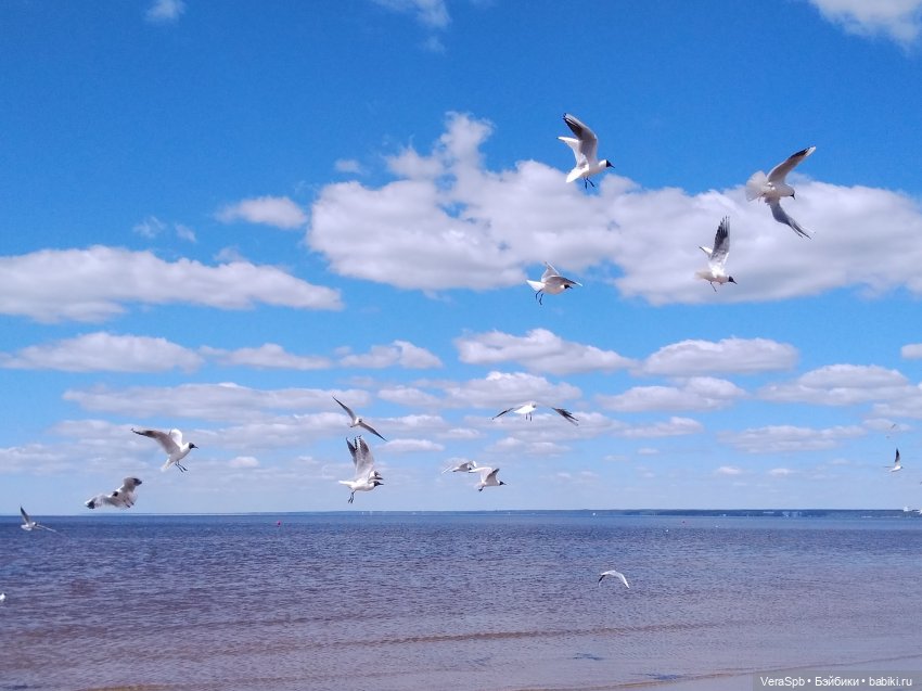 Земную жизнь пройдя до половины (фото 3)