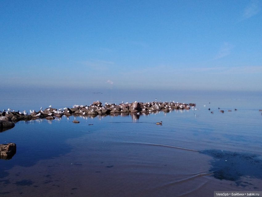 Земную жизнь пройдя до половины (фото 2)