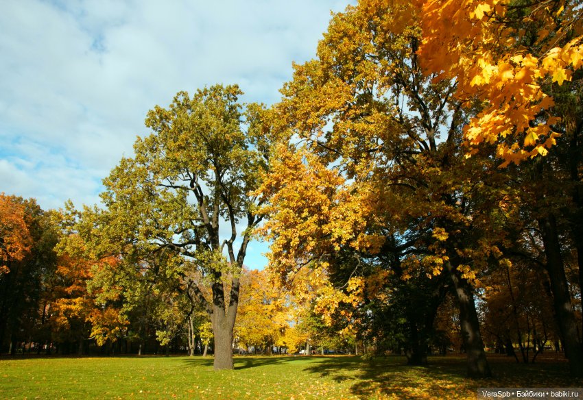 Вальс-бостон в Михайловском саду (фото 6)