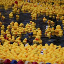 5 июня - день резиновой уточки. Попразнуем в топике?!😄🥰