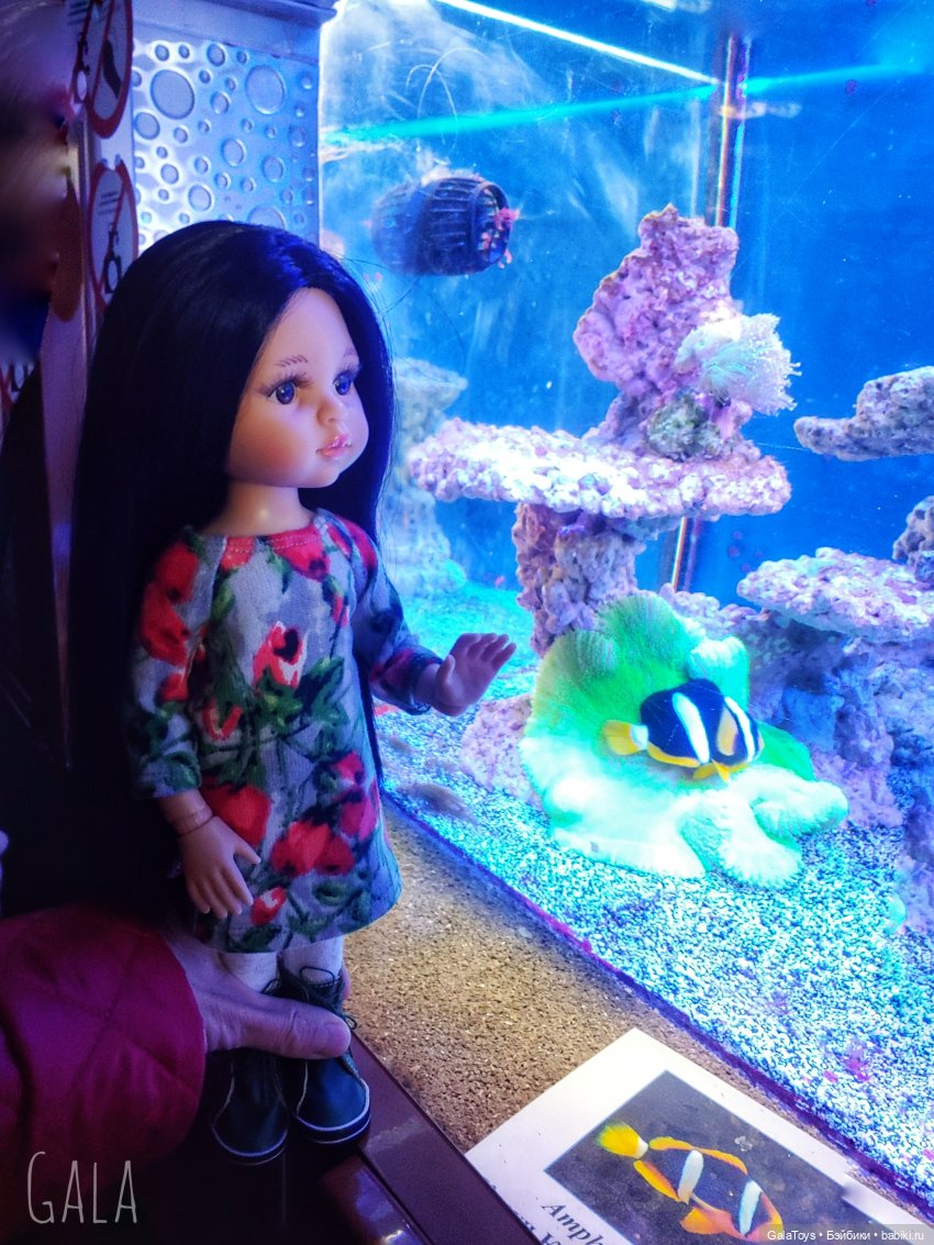 Карина в Ленинградском зоопарке | Бэйбики Карина в Ленинградском зоопарке (фото 8)