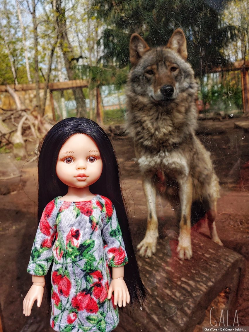 Карина в Ленинградском зоопарке | Бэйбики Карина в Ленинградском зоопарке