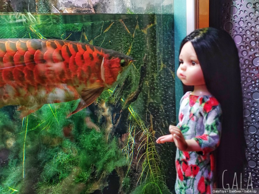 Карина в Ленинградском зоопарке | Бэйбики Карина в Ленинградском зоопарке (фото 4)