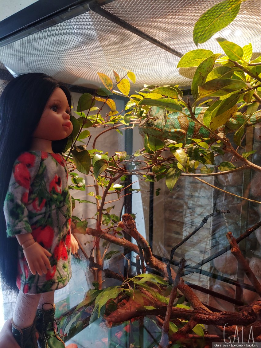 Карина в Ленинградском зоопарке | Бэйбики Карина в Ленинградском зоопарке (фото 9)