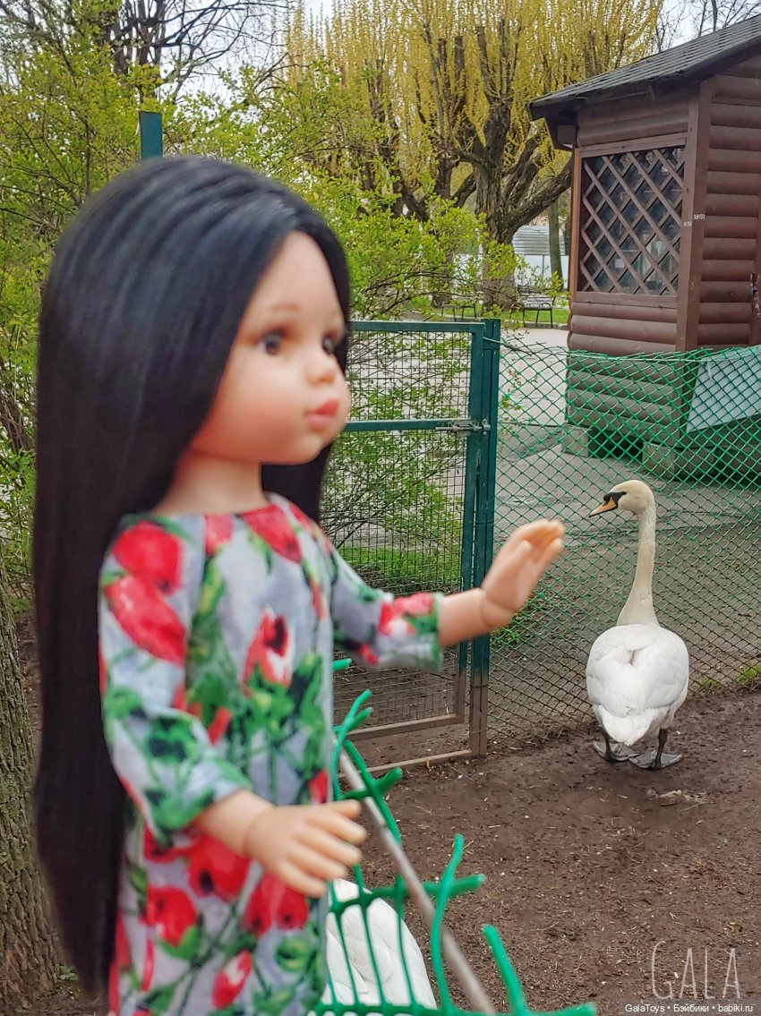 Карина в Ленинградском зоопарке | Бэйбики Карина в Ленинградском зоопарке