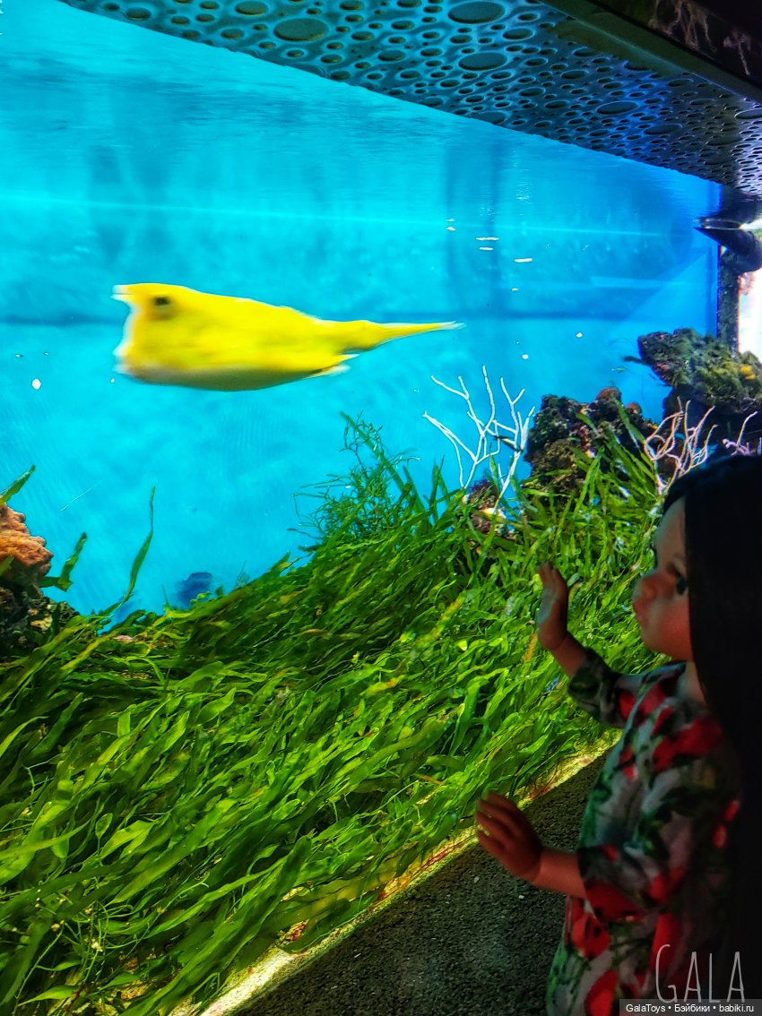 Карина в Ленинградском зоопарке | Бэйбики Карина в Ленинградском зоопарке (фото 6)