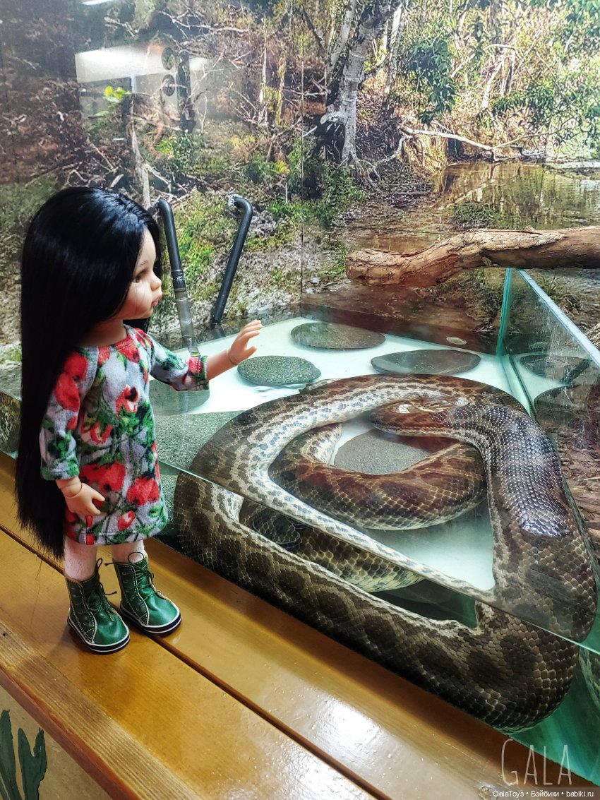 Карина в Ленинградском зоопарке | Бэйбики Карина в Ленинградском зоопарке (фото 10)