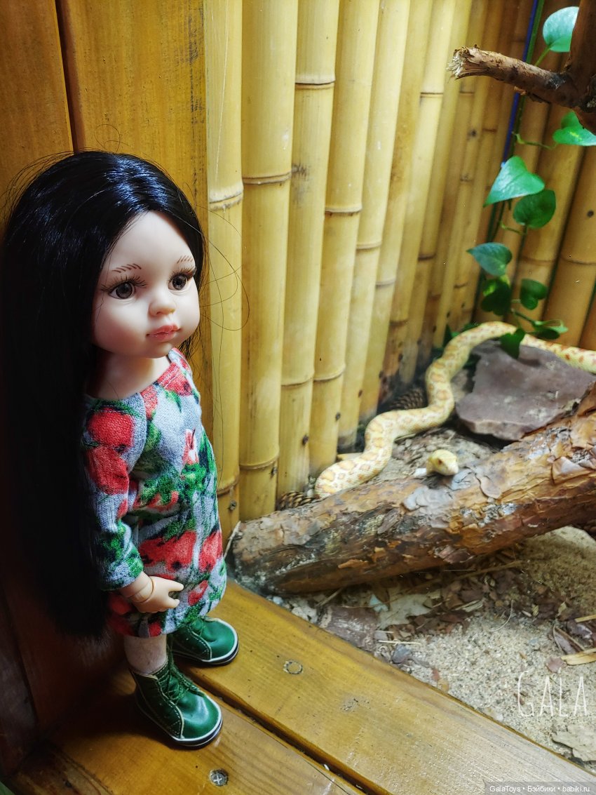 Карина в Ленинградском зоопарке | Бэйбики Карина в Ленинградском зоопарке