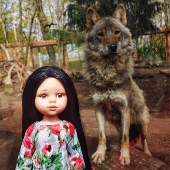 Карина в Ленинградском зоопарке