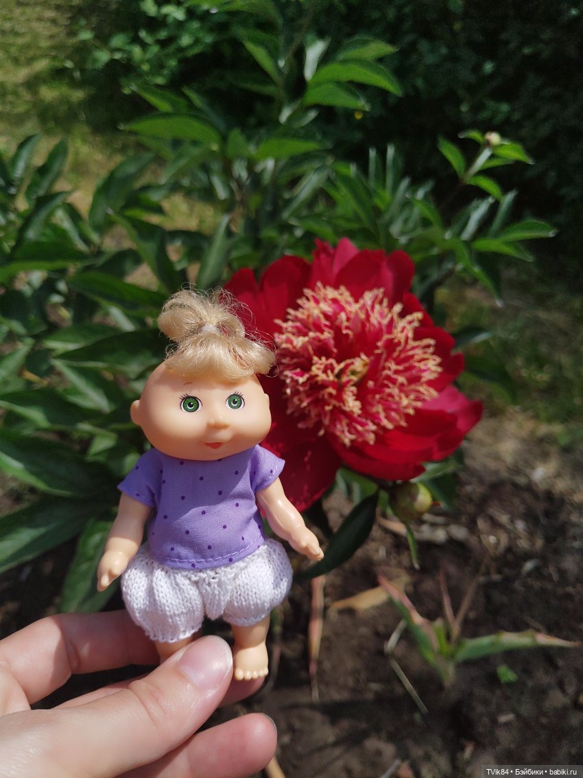 Летняя прогулка Капустки - Часть 2 (фото 3)