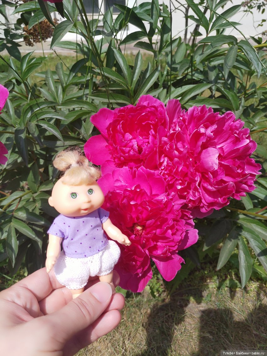 Летняя прогулка Капустки - Часть 2 (фото 7)