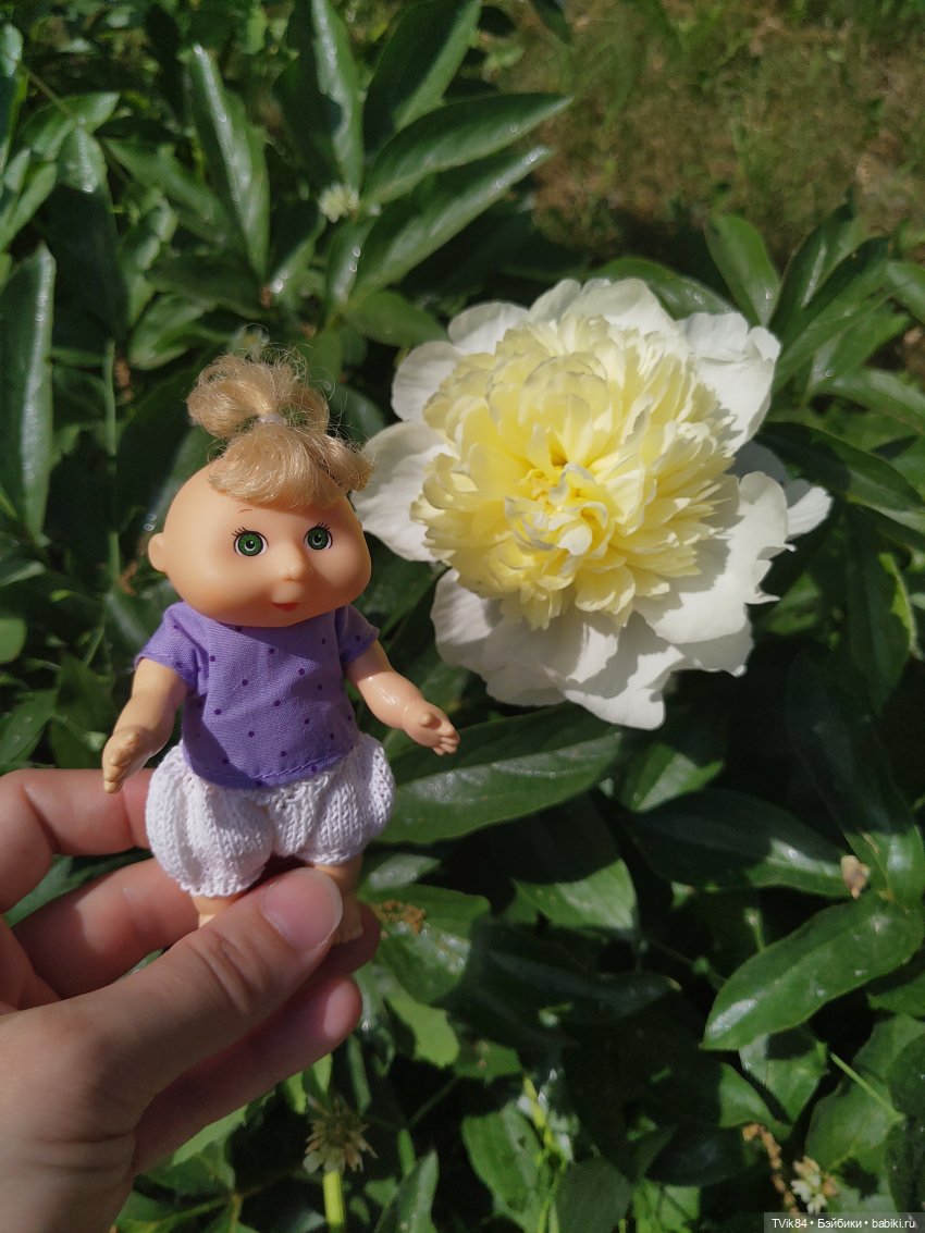 Летняя прогулка Капустки - Часть 2 (фото 4)