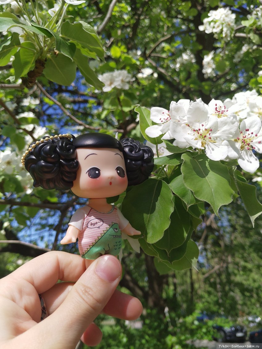 Куколка Ddung — Куклы Ddung (Дданг): Корейские пупсы