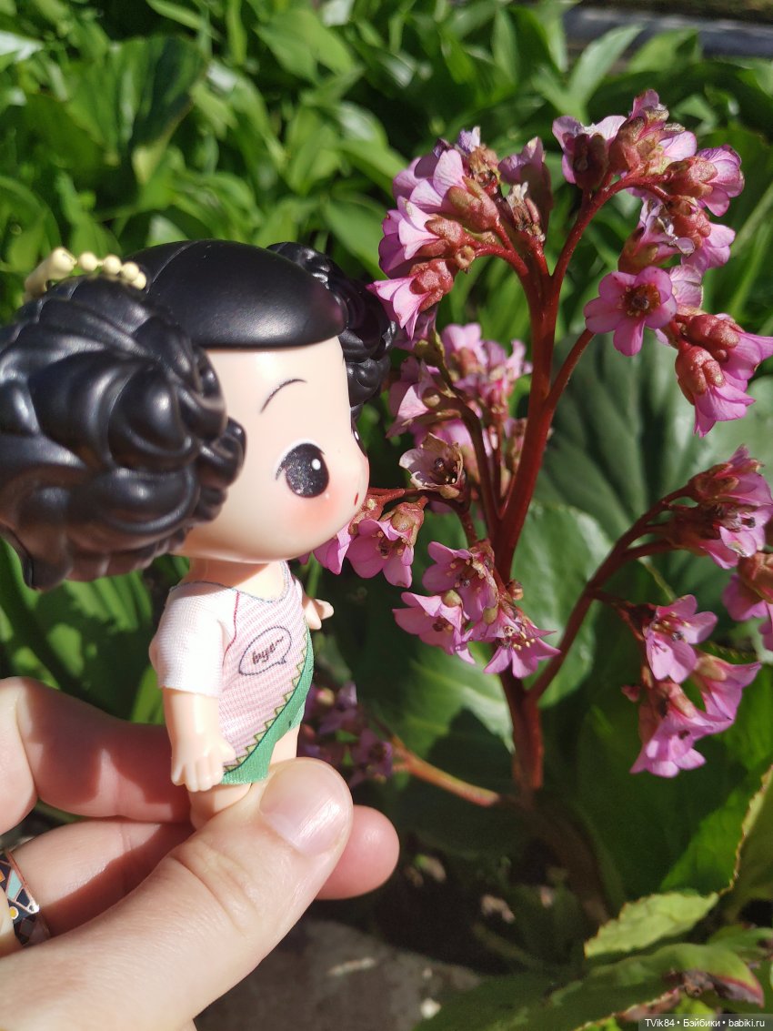 Куколка Ddung — Куклы Ddung (Дданг): Корейские пупсы (фото 2)