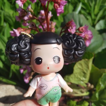 Куколка Ddung