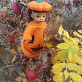 Поздняя осень для Тыковки