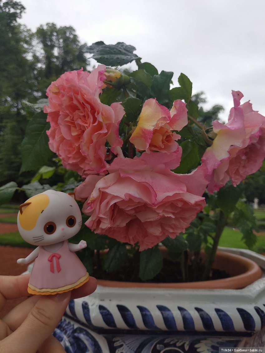 Кошечка Лили — Кот Басик (фото 2)