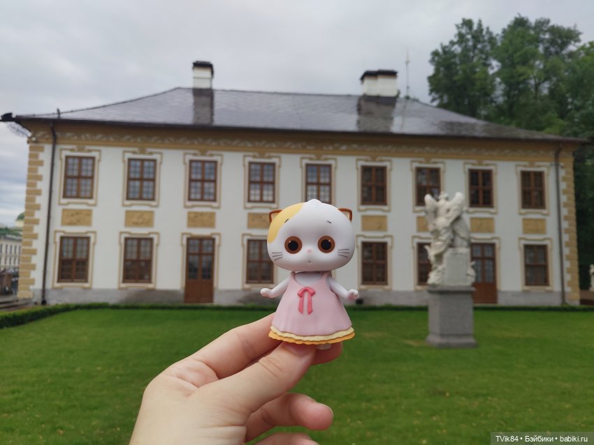 Кошечка Лили — Кот Басик