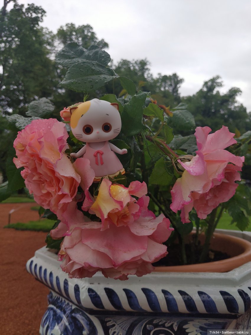 Кошечка Лили — Кот Басик (фото 3)