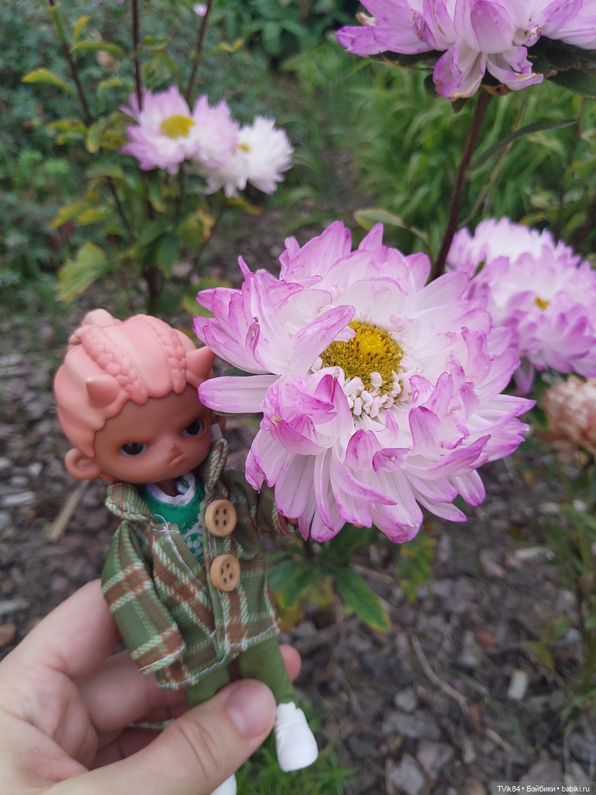 Краски осени или как чертяка в Ботанический сад ходил (фото 10)